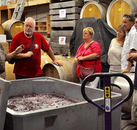 5 Hour Private Wine Tour - Tourism Canberra