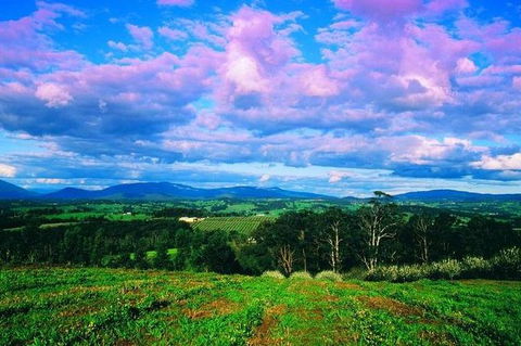 CHEVY CONVERTIBLE Package For 4 -Wine Lunch Cheese & Chocolate From Yarra Valley - Tourism Canberra 7