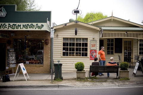 Half Day Puffing Billy Train Journey From Melbourne - Tourism Canberra 10