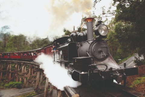 Half Day Puffing Billy Train Journey From Melbourne - Tourism Canberra 3