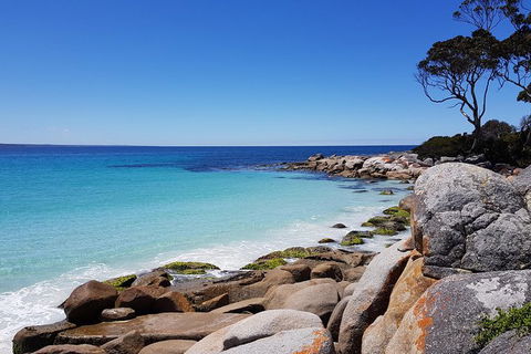 Tasmania 6 Day \'Tour In Circle\' - Tourism Canberra 4