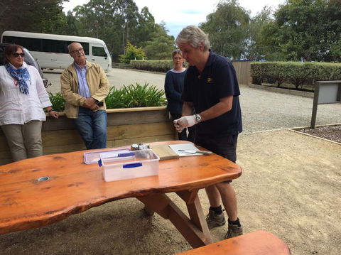 Bruny Island All Inclusive Gourmet Day Trip From Hobart - Tourism Canberra 17