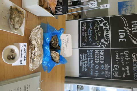 Bruny Island All Inclusive Gourmet Day Trip From Hobart - Tourism Canberra 12