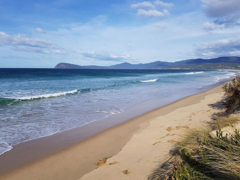 Bruny Island All Inclusive Gourmet Day Trip From Hobart - Tourism Canberra 6