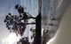 Bruny Island All Inclusive Gourmet Day Trip From Hobart - thumb 5