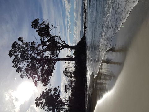 Bruny Island All Inclusive Gourmet Day Trip From Hobart - Tourism Canberra 5