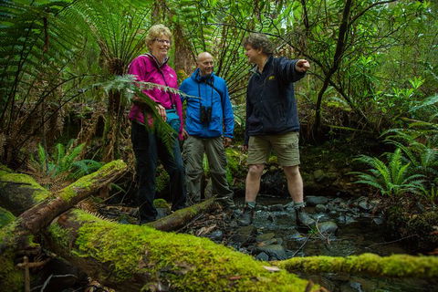 Bruny Island All Inclusive Gourmet Day Trip From Hobart - Tourism Canberra 28