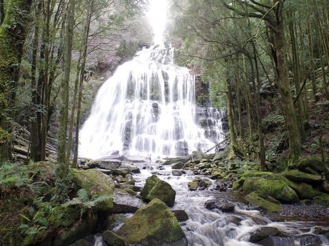 5-Day Best Of Tasmania Tour From Hobart - Tourism Canberra 2