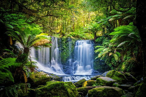 Day Tour In Mt. Field, Mt. Wellington, Bonorong Wildlife Sanctuary And Richmond - Tourism Canberra 0