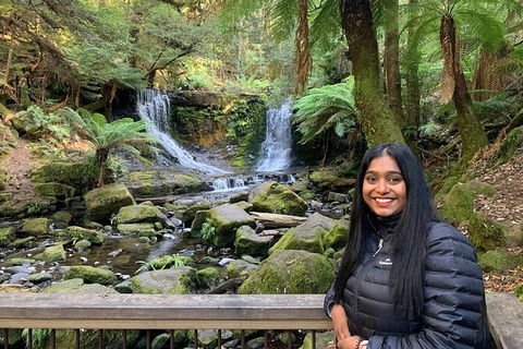 Day Tour In Mt. Field, Mt. Wellington, Bonorong Wildlife Sanctuary And Richmond - Tourism Canberra 4