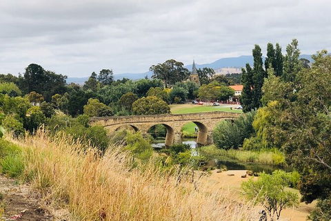 Day Tour In Mt. Field, Mt. Wellington, Bonorong Wildlife Sanctuary And Richmond - Tourism Canberra 6