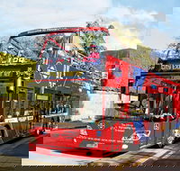 Hobart Hop-on Hop-off Bus Tour - Tourism Canberra