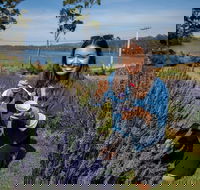 Port Arthur and Lavender Farm Active Day Tour - Tourism Canberra