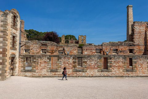 Port Arthur And Lavender Farm Active Day Tour - Tourism Canberra 8