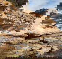 Maria Island premium private photo-oriented day tour from Hobart - Tourism Canberra