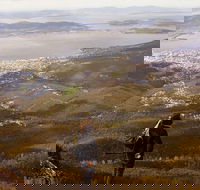 Mt Wellington Half Day Guided Summit Hike - Tourism Canberra