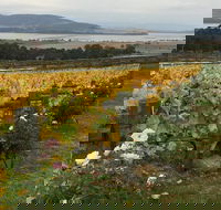 Mona and Wine Experience Tour - Tourism Canberra