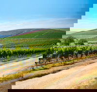 Full Day Tamar Valley Wine Tour - Tourism Canberra