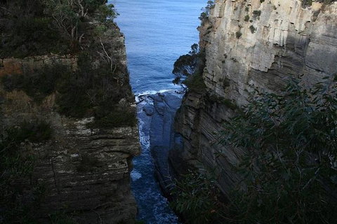 Cruise Ship Special From Port Arthur: Explore Tasman Peninsula With Free WiFi - Tourism Canberra 1