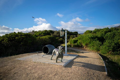 Cruise Ship Special From Port Arthur: Explore Tasman Peninsula With Free WiFi - Tourism Canberra 9