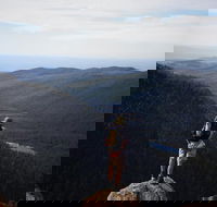 Mount Field National Park - Tarn Shelf  Russell Falls - Guided Hiking Tour - Tourism Canberra