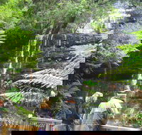 Mt Field National Park and Russell Falls from Hobart - Tourism Canberra