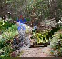 Hollybank Wilderness Adventures - Segway Tour - Tourism Canberra