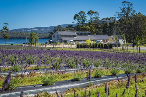 Private Tasman Peninsula Cruise Ship Tour From Port Arthur - Tourism Canberra 0