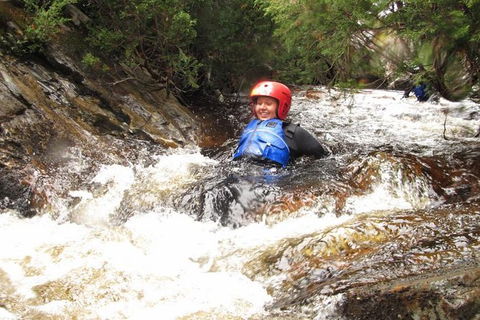 Half Day Cradle Mountain Canyoning: Lost World Canyon - Tourism Canberra 0