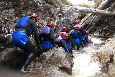 Half Day Cradle Mountain Canyoning: Lost World Canyon - Tourism Canberra 1