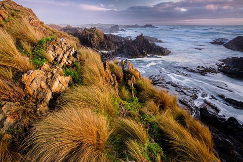 4-Day Tarkine Wilderness Photography Workshop - Tourism Canberra 0