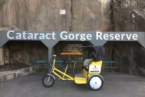 Launceston Cataract Gorge - Twilight, Wildlife, Local History Walking Tour. - Tourism Canberra 0