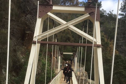 Launceston Cataract Gorge - Twilight, Wildlife, Local History Walking Tour. - Tourism Canberra 3