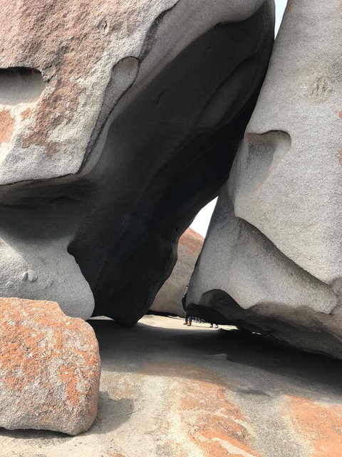 Kangaroo Island In A Day Tour From Adelaide - Tourism Canberra 7