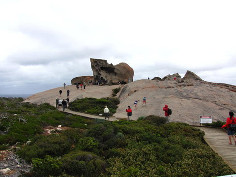 Kangaroo Island In A Day Tour From Adelaide - Tourism Canberra 21