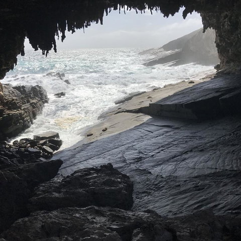 Kangaroo Island In A Day Tour From Adelaide - Tourism Canberra 5