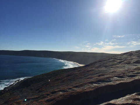 Kangaroo Island In A Day Tour From Adelaide - Tourism Canberra 17