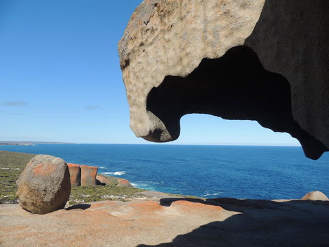 Kangaroo Island In A Day Tour From Adelaide - Tourism Canberra 13