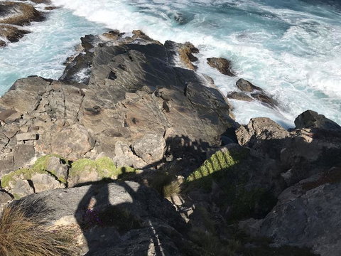 Kangaroo Island In A Day Tour From Adelaide - Tourism Canberra 3