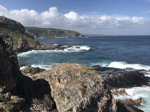 Kangaroo Island In A Day Tour From Adelaide - Tourism Canberra 4