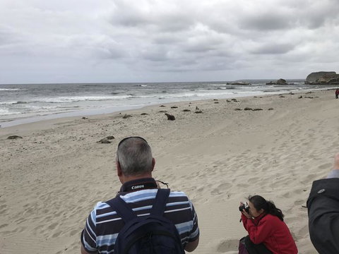 Kangaroo Island In A Day Tour From Adelaide - Tourism Canberra 10