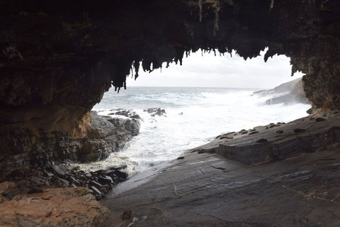 Kangaroo Island In A Day Tour From Adelaide - Tourism Canberra 18