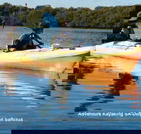 Adelaide Dolphin Sanctuary and Ships Graveyard Kayak Tour - Tourism Canberra