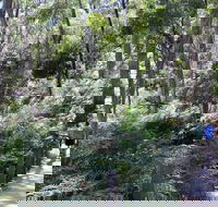 Self-Guided Waterfall Gully to Mount Lofty Hike from Adelaide - Tourism Canberra