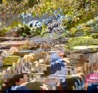 Adelaide Zoo Behind the Scenes Experience Panda and Friends Tour - Tourism Canberra