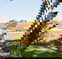 Micro-Group McLaren Vale Wine Tour from Adelaide - Tourism Canberra