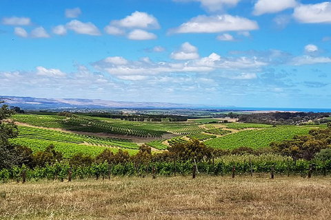 Micro-Group McLaren Vale Wine Tour From Adelaide - Tourism Canberra 4