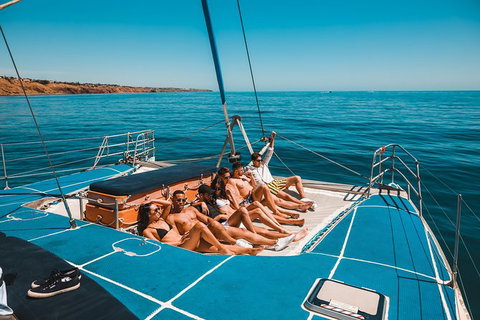 Dolphin Cruise From Adelaide With Optional Dolphin Swim - Tourism Canberra 3