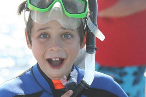 Dolphin Cruise From Adelaide With Optional Dolphin Swim - Tourism Canberra 8