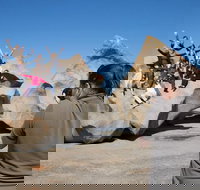 2-Day Kangaroo Island Adventure Tour from Adelaide - Tourism Canberra